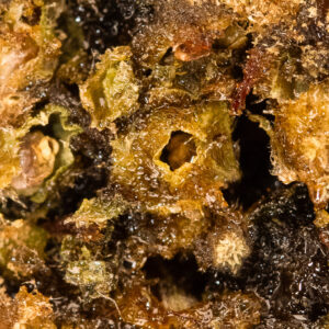 Moon Rock – CBD-Blüte von Spliff, Foto 2