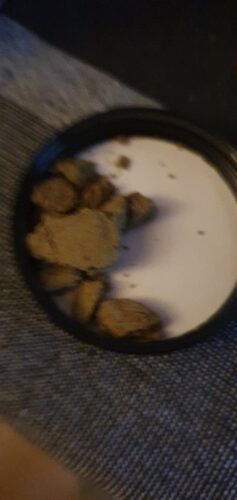 Golden Hash - 80% photo review