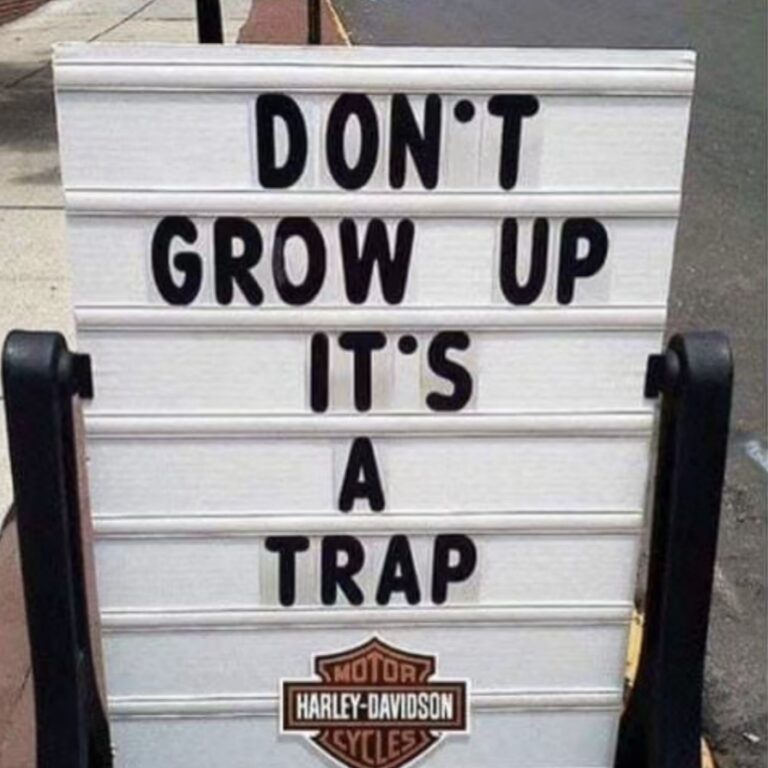 Mini Grinder photo review