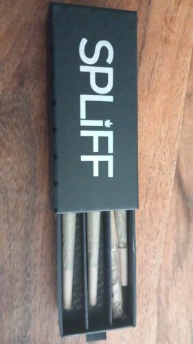 Schachtel mit 3 Pre-Rolls – White Widow photo review