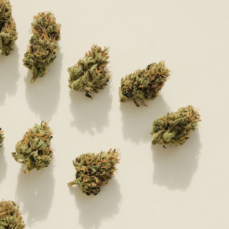 Entdecken Sie die schillernde Amnesia-Sorte: Eine unvergessliche Reise in die Welt des Cannabis - Entdecken Sie die schill...