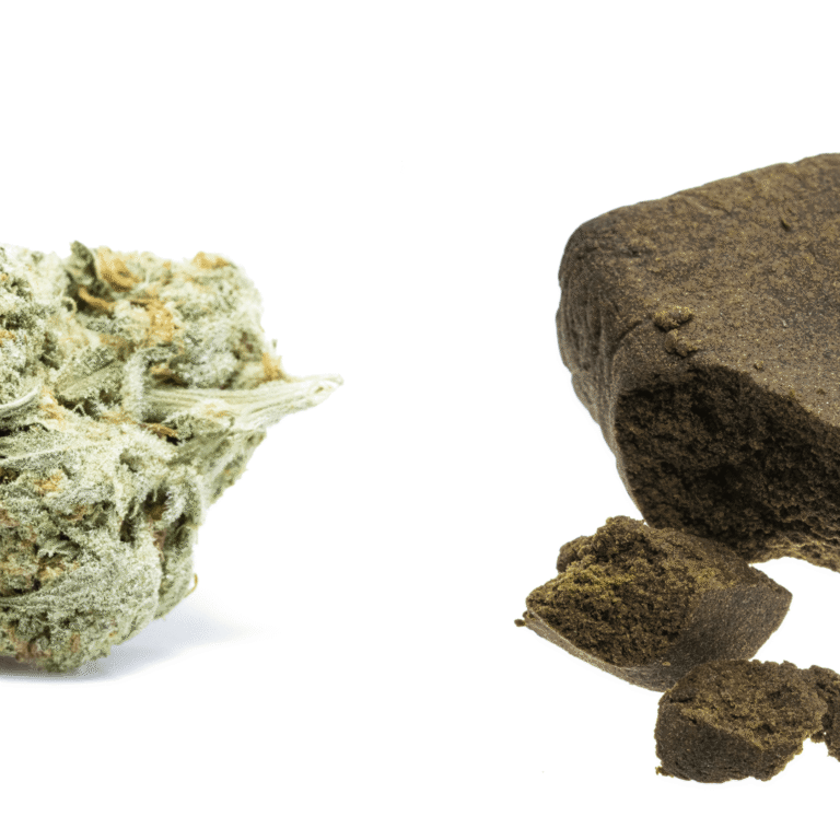 Was sind die Unterschiede zwischen Harzen und Cannabisblüten? - Was sind die Unterschiede zwischen Harzen und Cannabisblüten?
