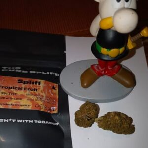 Kundenbewertung Tropical Fruit mit Foto - Spliff