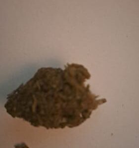 Kundenbewertung Tropical Fruit mit Foto - Spliff