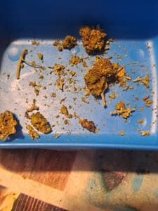 Kundenbewertung Minibud Premium Superskunk mit Foto - Spliff
