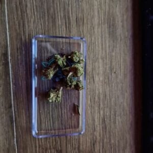 Kundenbewertung Minibud Premium Superskunk mit Foto - Spliff