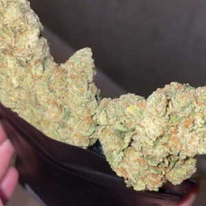 Kundenbewertung Amnesia mit Foto - Spliff