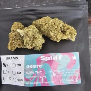 Kundenbewertung Gelato mit Foto - Spliff