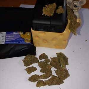Kundenbewertung Cheese mit Foto - Spliff