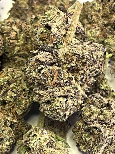 Purple Haze - 25% THCX photo review