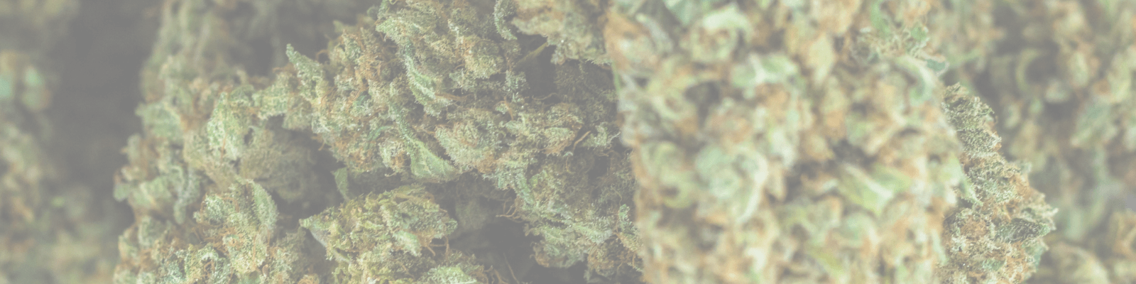 fleurs-thcx-spliff