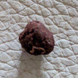 Kundenbewertung Red Libanese mit Foto - Spliff