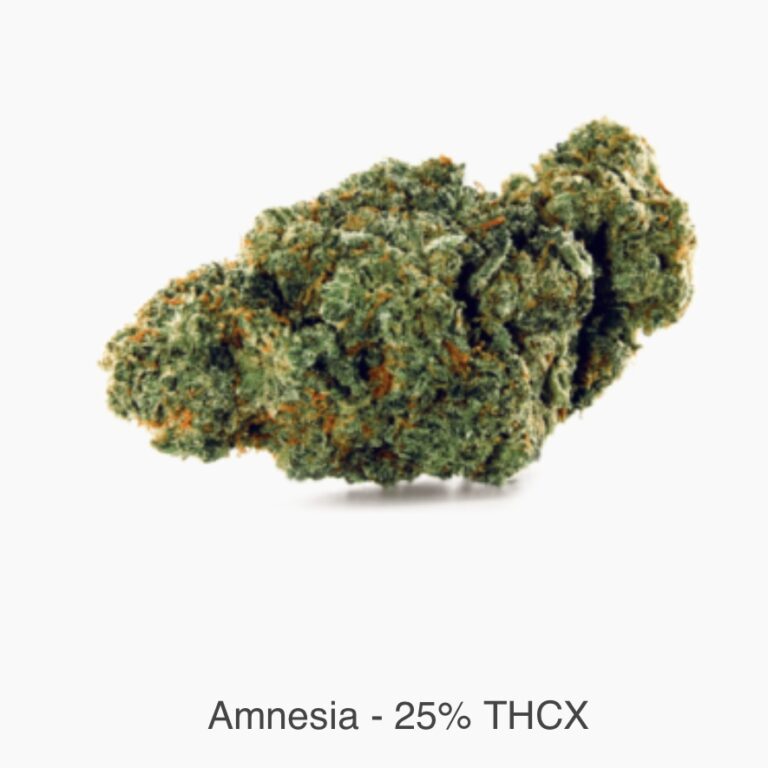 Amnesia photo review