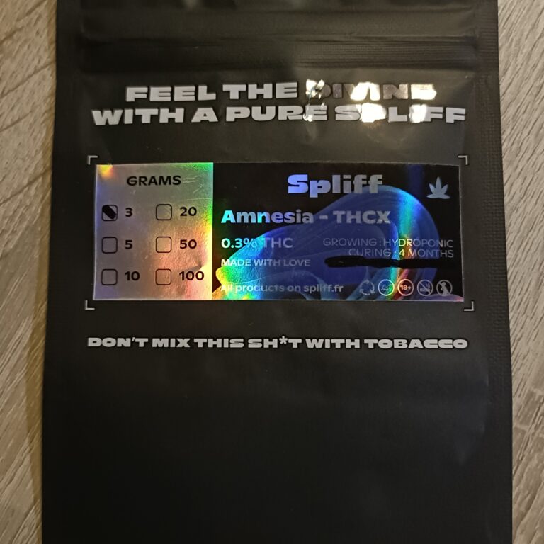 Amnesia photo review