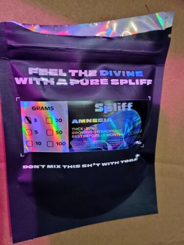 Amnesia photo review