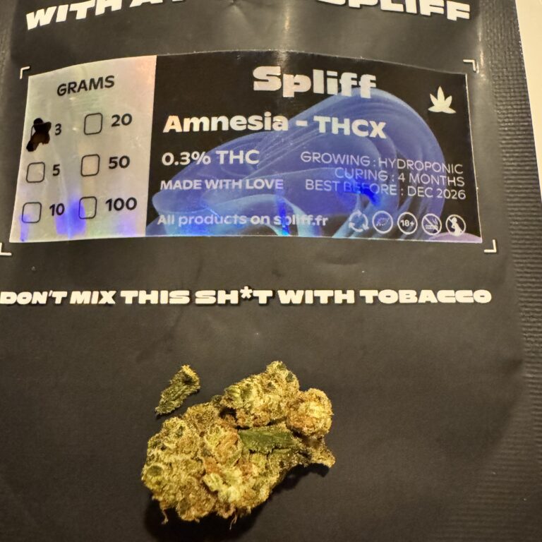 Click to view full screen Amnesia photo review