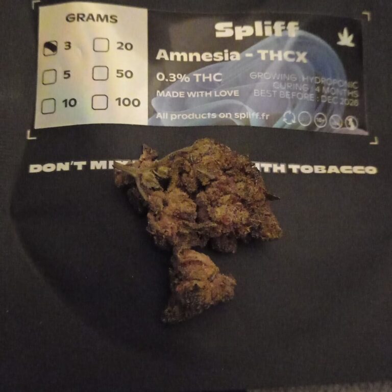 Amnesia photo review