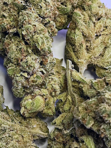 Amnesia - 25% THCX photo review