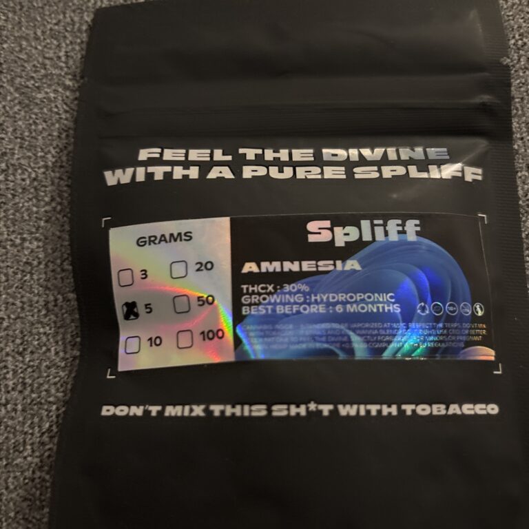 Amnesia photo review