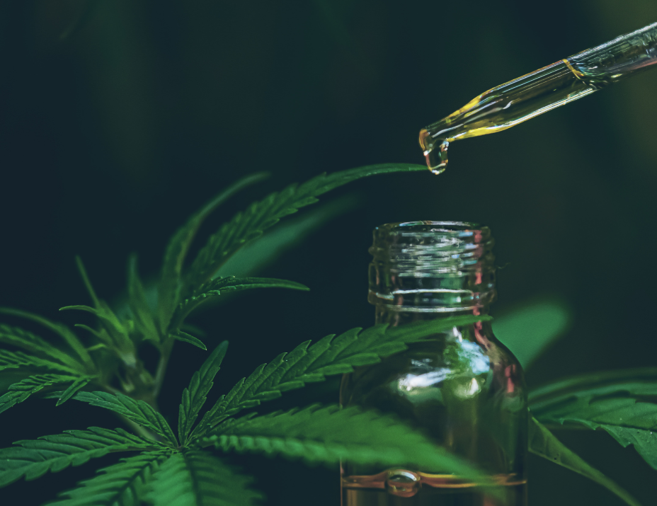 Pipette trägt gelbes Öl auf grüne Cannabisblätter neben einem Glasfläschchen auf dunklem Hintergrund