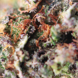 Dutch Grandma – CBD-Blüte von Spliff, Foto 2