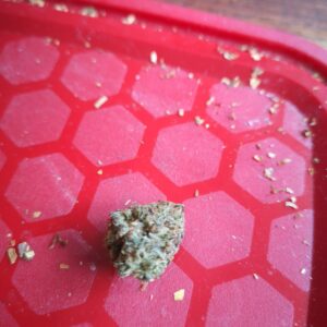 Kundenbewertung Gelato 33 mit Foto - Spliff
