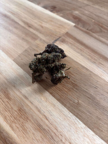 Purple Haze - 25% THCX photo review