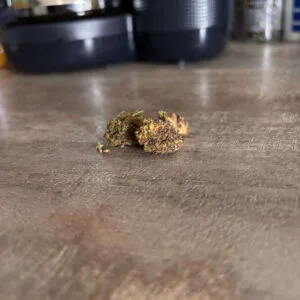 Kundenbewertung Cheese mit Foto - Spliff