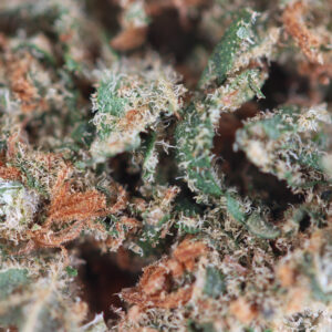 Blueberry