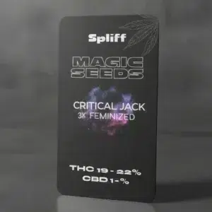 Critical Jack