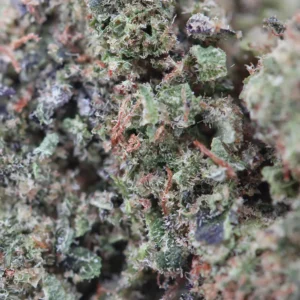 Cookie OG