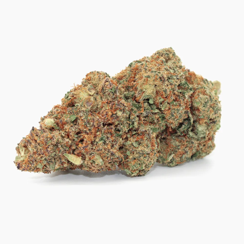 Jack Herer – CBD-Blüte von Spliff