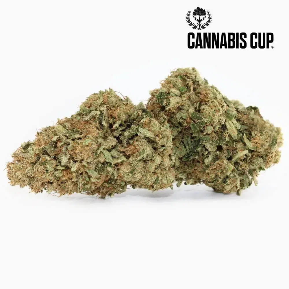 Dark Saphir – CBD-Blüte von Spliff