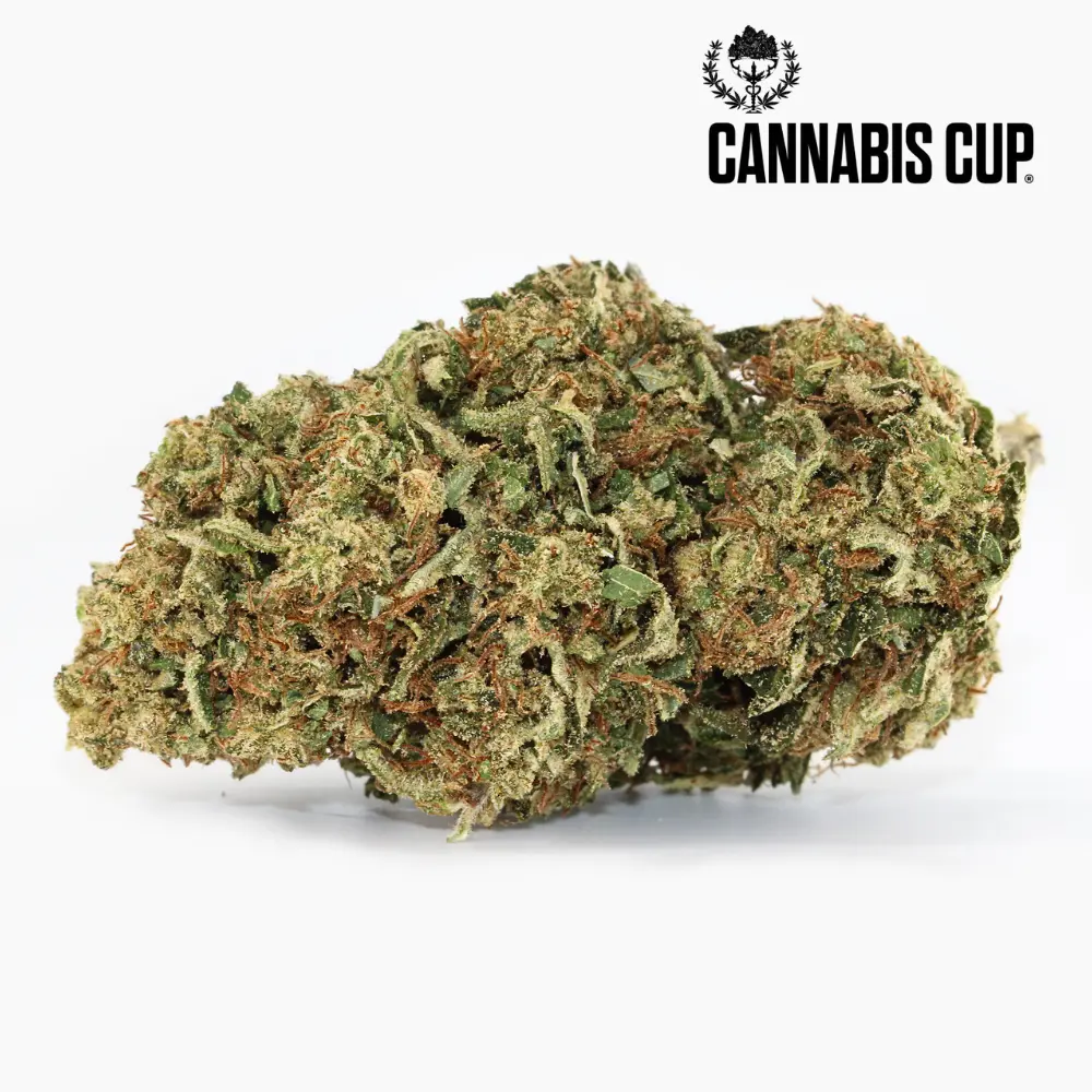 Dream Diesel – CBD-Blüte von Spliff