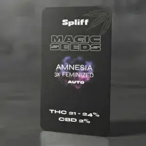 Graine cannabis sPLIFF