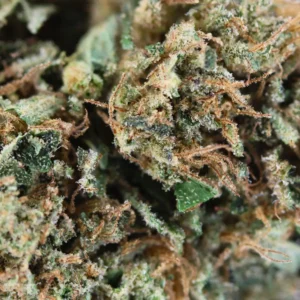 Dark Saphir – CBD-Blüte von Spliff, Makroaufnahme
