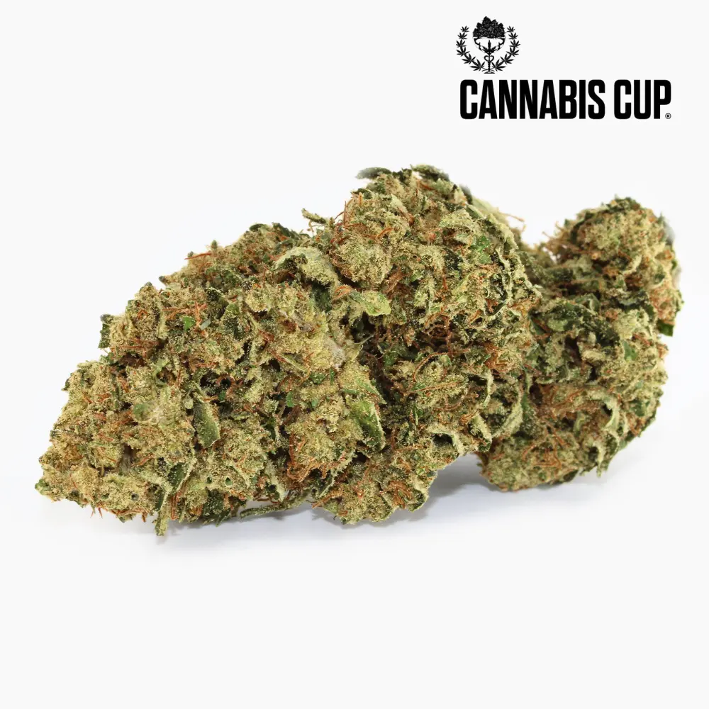Tangie Kush – CBD-Blüte von Spliff