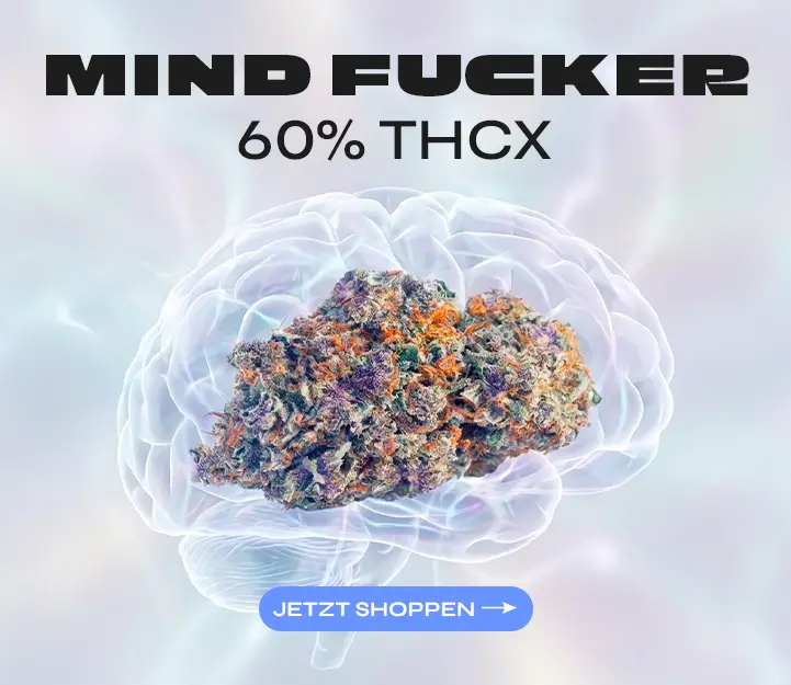 Mind Fucker THCX Spliff
