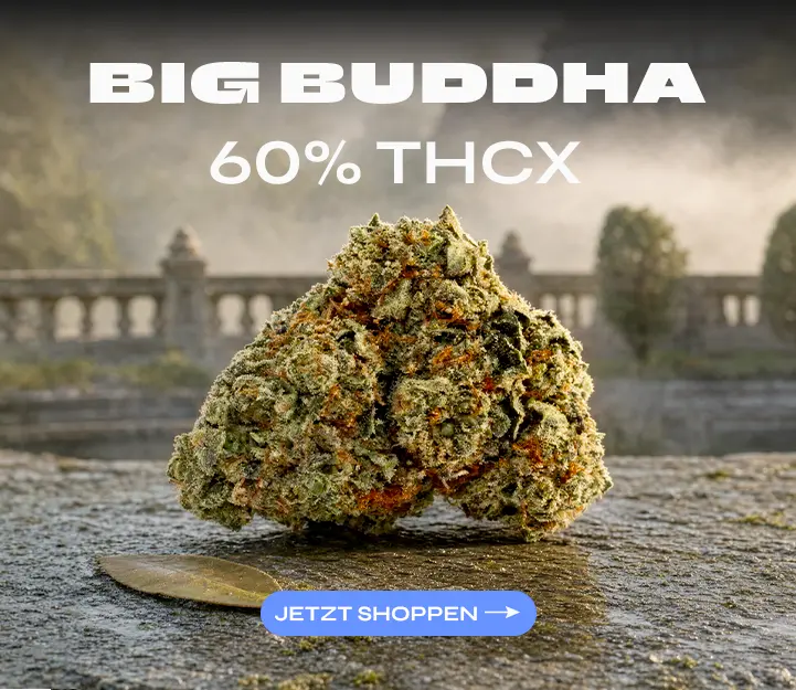 Big Buddha THCX Spliff