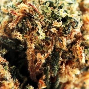 Blueberry Muffin THCX 60% – Makroaufnahme von Trichomen und Stempeln
