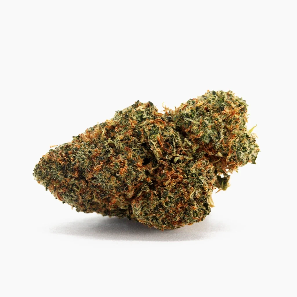Blueberry Muffin THCX 60% – THCX-Blüte mit Trichomen und orangen Stempeln