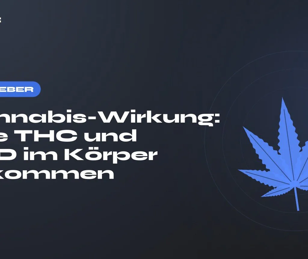 Cannabis-Wirkung: Wie THC und CBD im Körper ankommen — Titel auf dunklem Grund, stilisiertes Hanfblatt