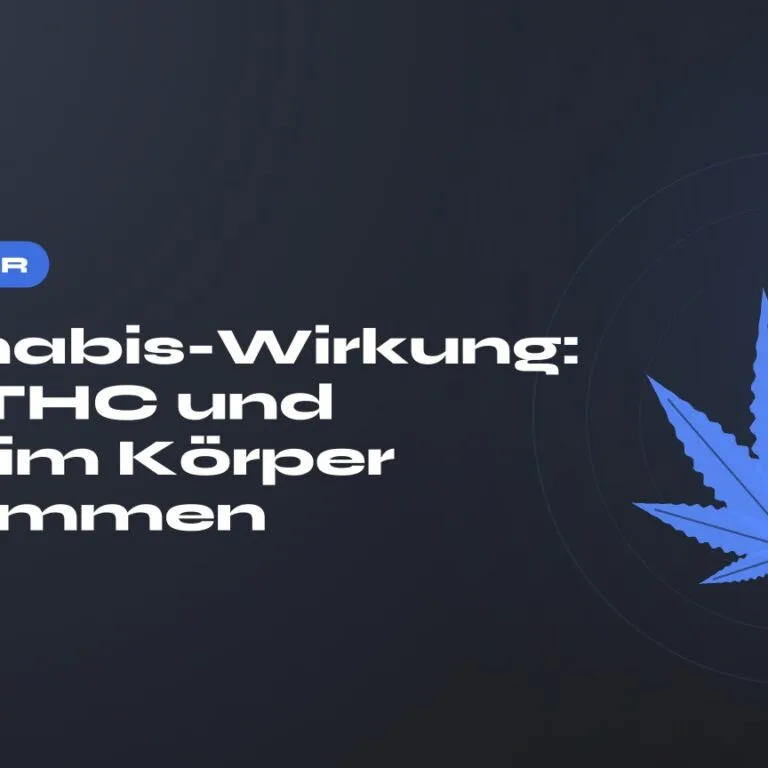 Cannabis-Wirkung: Wie THC und CBD im Körper ankommen — Titel auf dunklem Grund, stilisiertes Hanfblatt