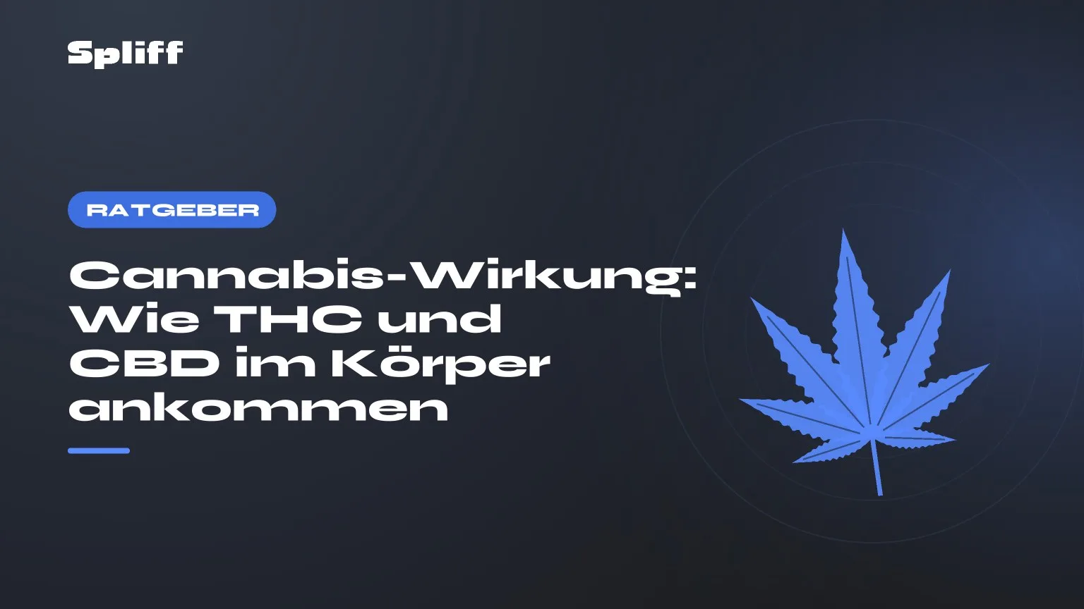 Cannabis-Wirkung: Wie THC und CBD im Körper ankommen — Titel auf dunklem Grund, stilisiertes Hanfblatt