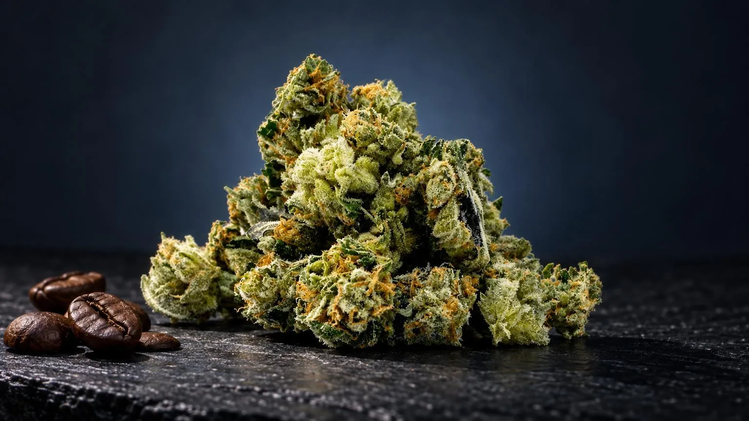 CBD-Blüten Wirkung: Blüte Minibud Premium Superskunk in Szene gesetzt