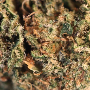 Cosmic Cookie CBD – Makroaufnahme von Trichomen und Stempeln