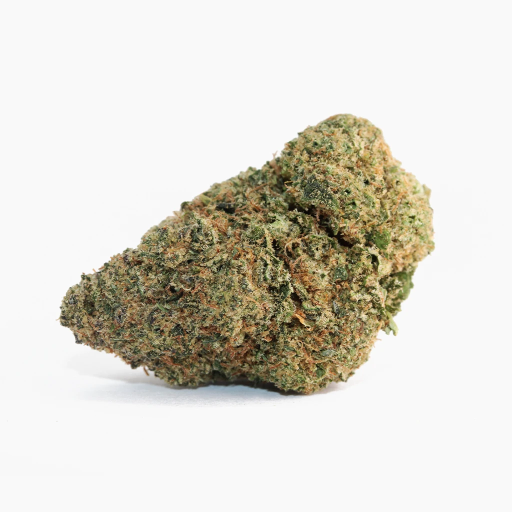 Cosmic Cookie CBD – dichte CBD-Blüte mit kupferfarbenen Stempeln