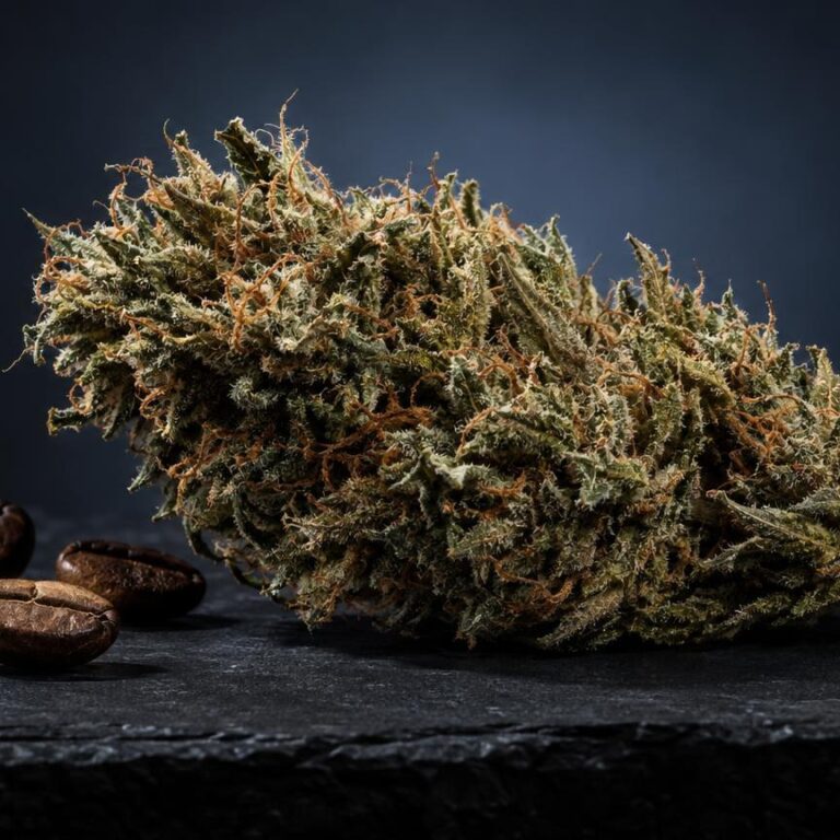 Getrocknete Cannabisblüte mit feinen Trichomen neben braunen Samen auf dunklem Untergrund