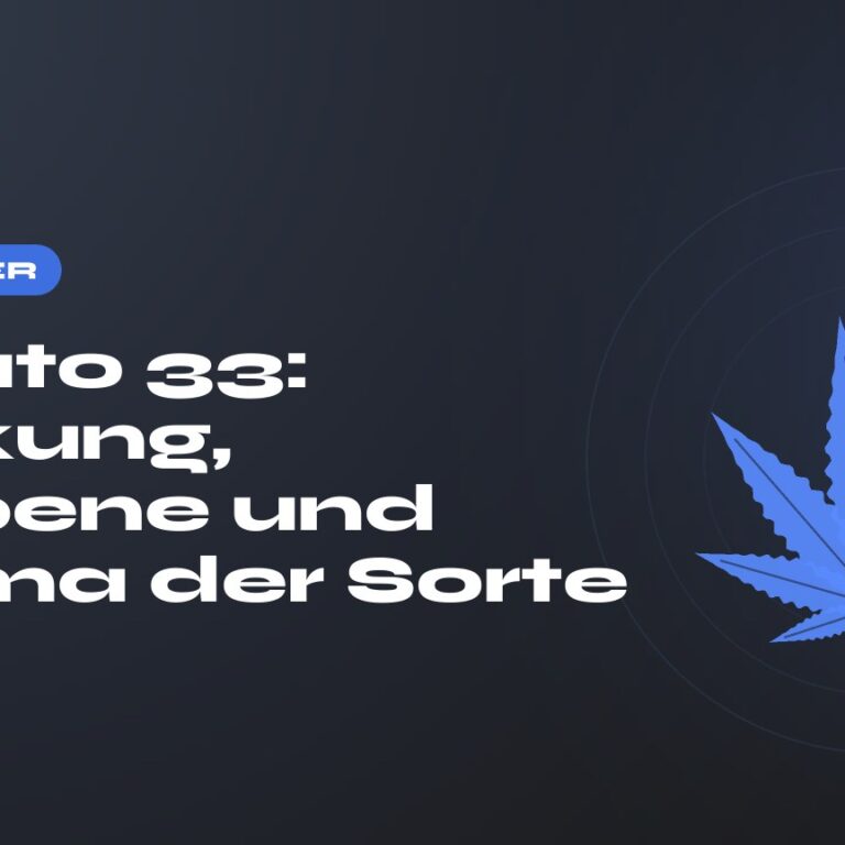 Gelato 33: Wirkung, Terpene und Aroma der Sorte — Titel auf dunklem Grund, stilisiertes Hanfblatt