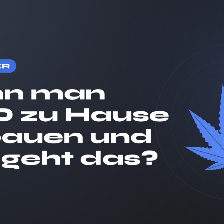 Kann man CBD zu Hause anbauen und wie geht das? — Titel auf dunklem Grund, stilisiertes Hanfblatt